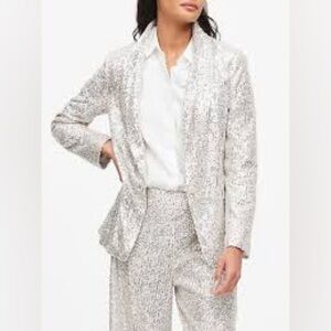 NWT Banana Republic Soft Sequin Blazer Jacket, Champagne Silver Sequin, Size 2